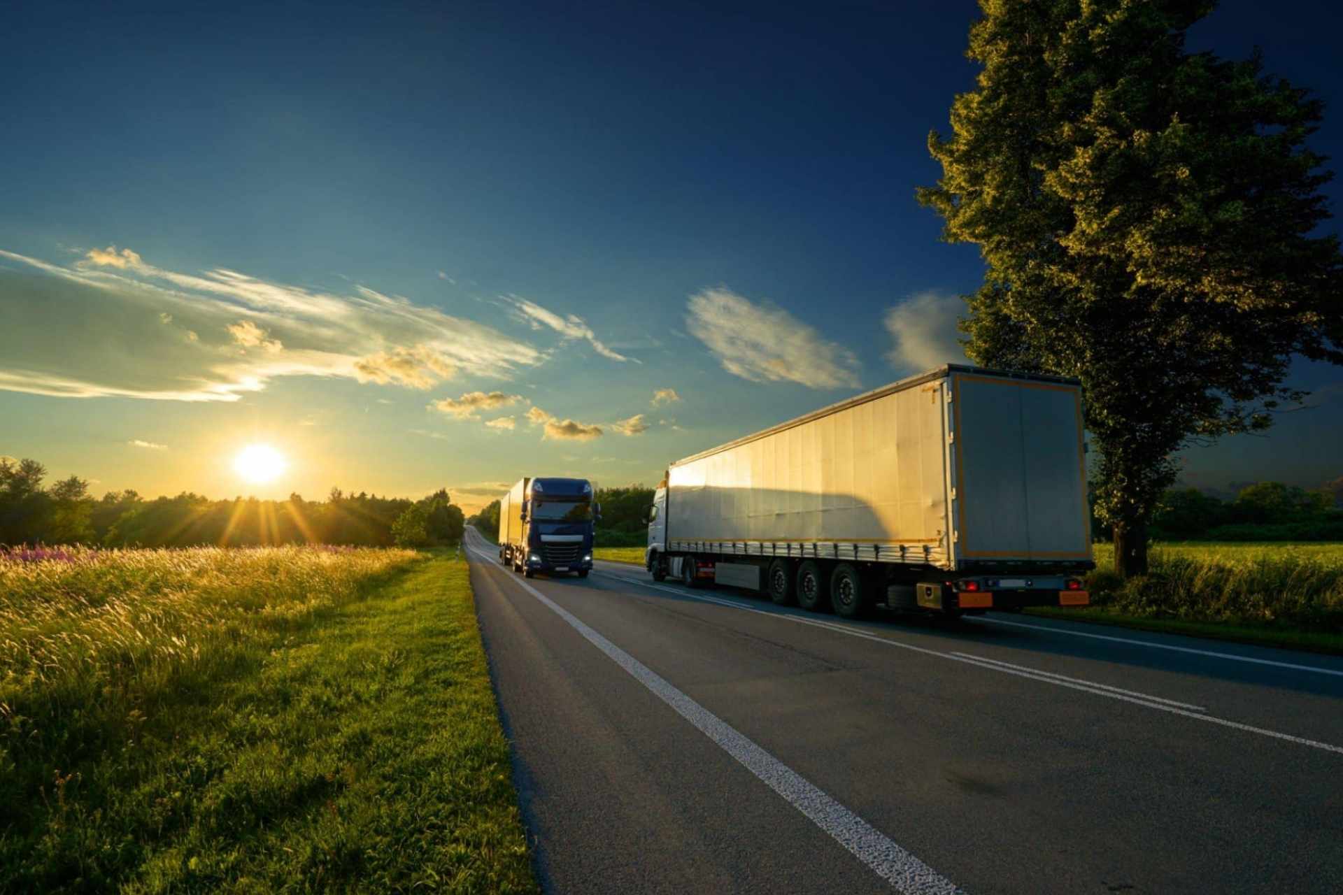 Warehousing & Distribution